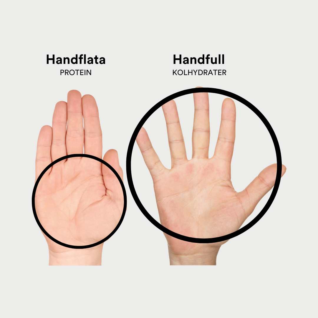 Händer som illustrerar Bodilys handregel för portionsstorlek av protein och kolhydrater.